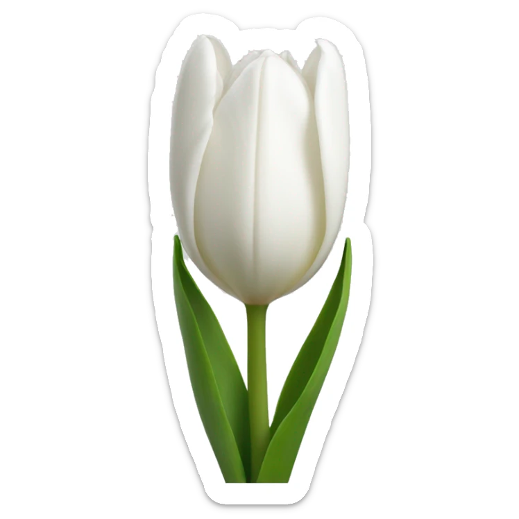 White tulips  sticker