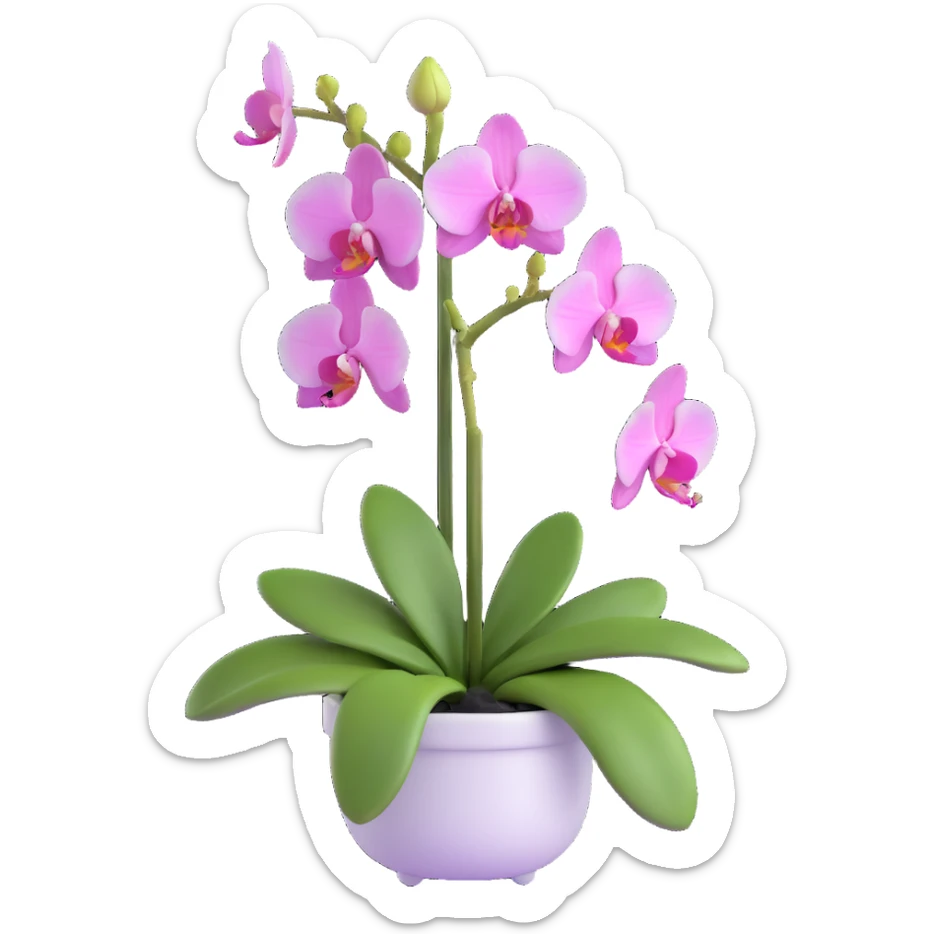 Elegant phalaenopsis moth orchid with detailed white and pink petals and green stem sticker