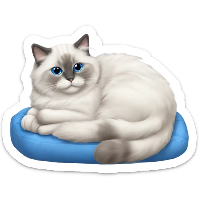 Blue point Ragdoll cat with short hair, sleeping on top of a hot water bottle   sticker