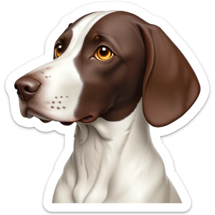 Cinematic Noble German Pointer Portrait Emoji, Poised and regal, with a lean, athletic build and a sleek, short coat in liver and white, deep-set soulful brown eyes, Simplified yet sharp and sophisticated features, highly detailed, glowing with a soft, dignified glow, high shine, intelligent and driven, stylized with an air of determination, focused and attentive, soft glowing outline, capturing the essence of a watchful and commanding hunter, so majestic it feels as though it could sprint out of the screen with effortless authority! sticker