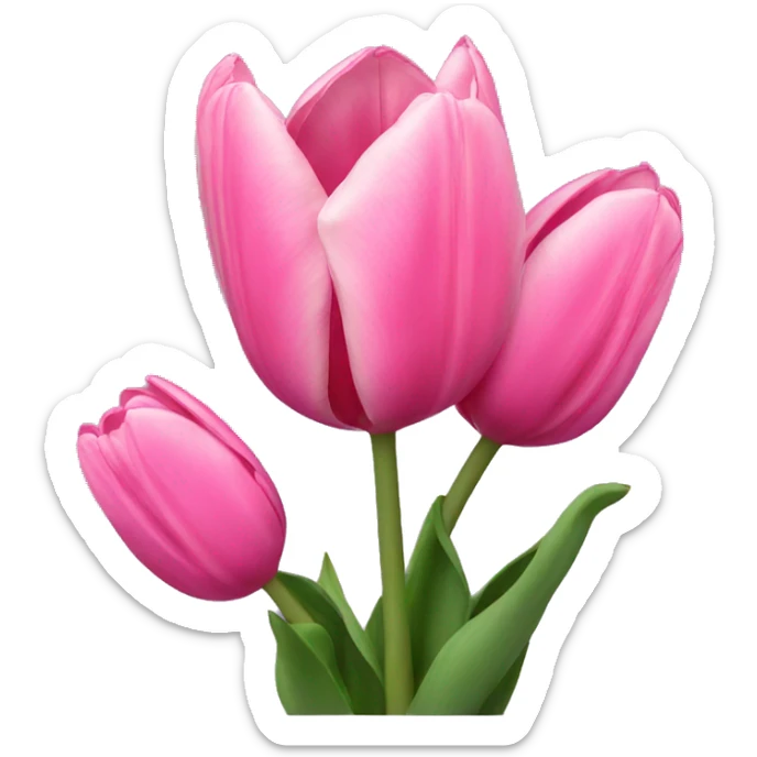 Pink tulips sticker