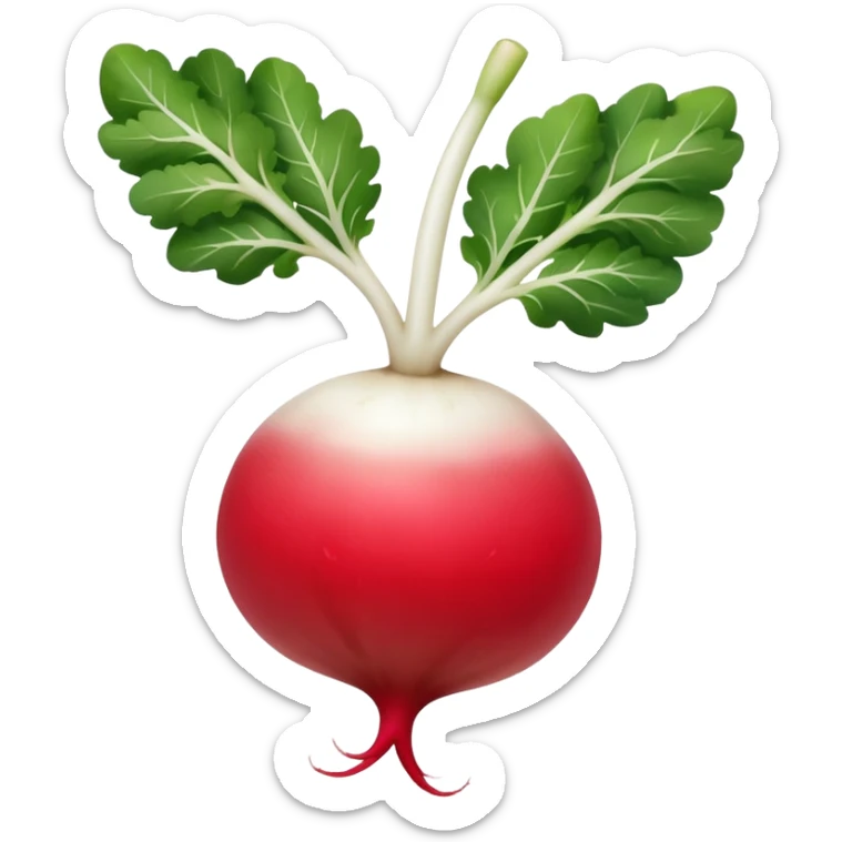 smaller radish UK plant with a bit of white on the bottom of the radish sticker