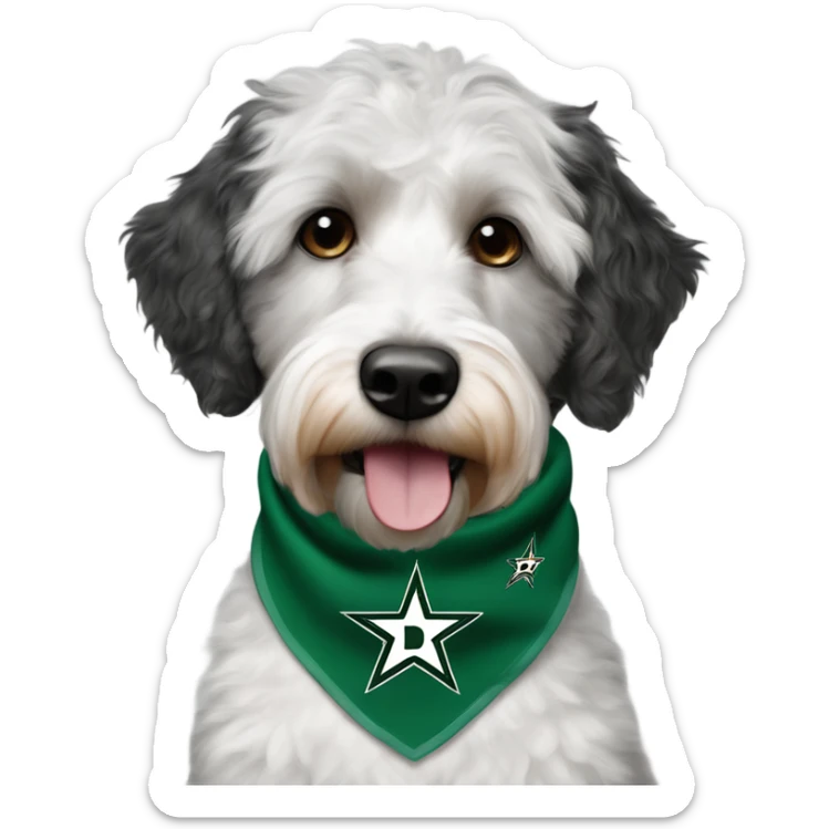 Aussiedoodle wearing a neck bandana with the NHL Dallas Stars hockey team logo sticker