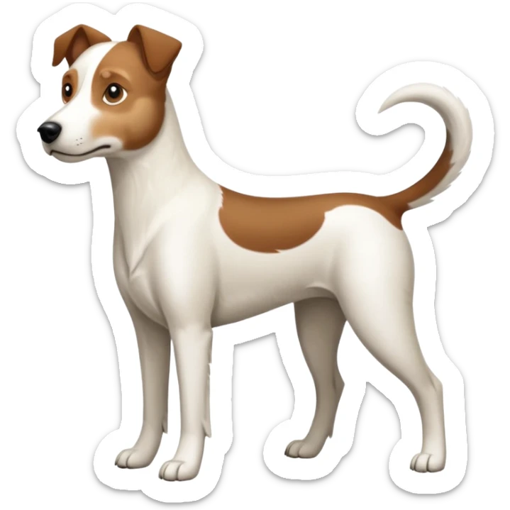 a full body large white parson russell looking dog the size of a kelpie with light brown ears and a light brown patch on one eye and a large snout sticker
