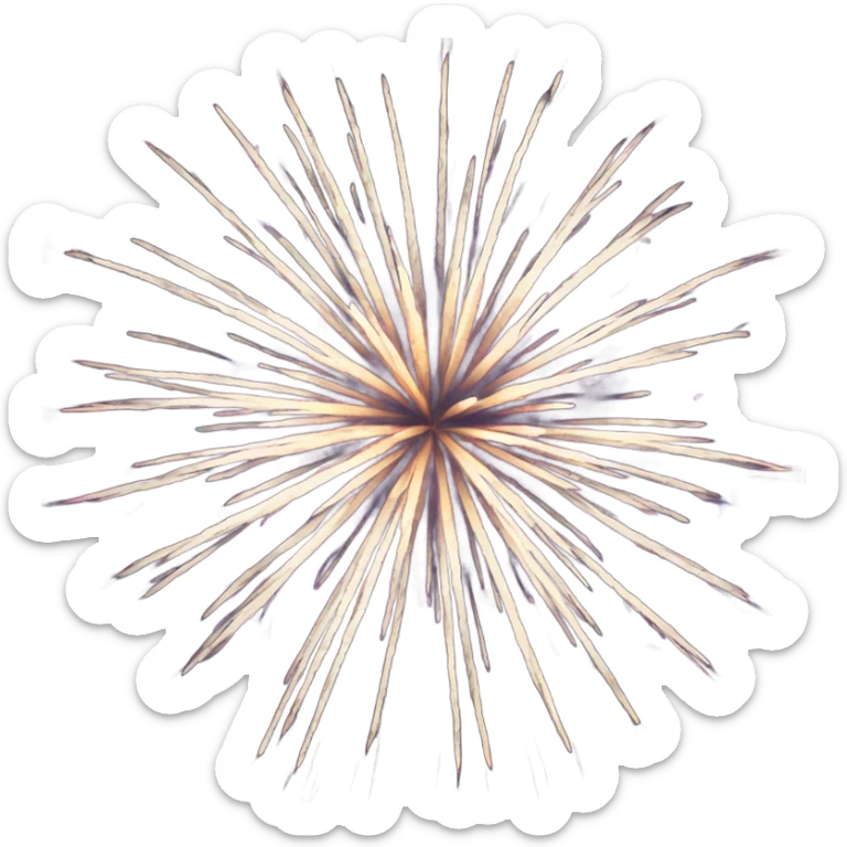 Fireworks sticker