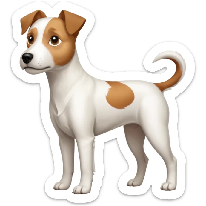 a full body large white parson russell terrier looking dog the size of a kelpie with light brown long ears and a light brown patch on one eye and a large snout sticker