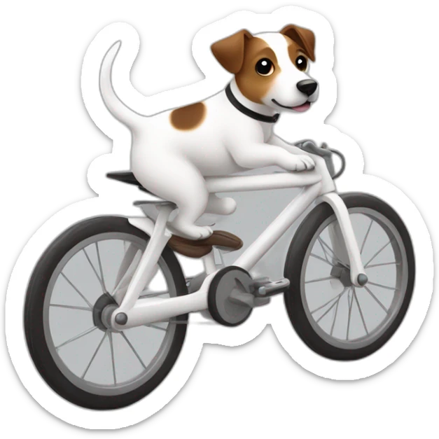 jack russell dog color white, brown and black ride bike  sticker