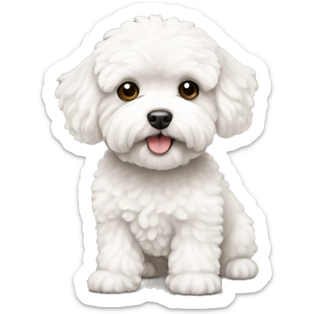 White maltipoo sticker
