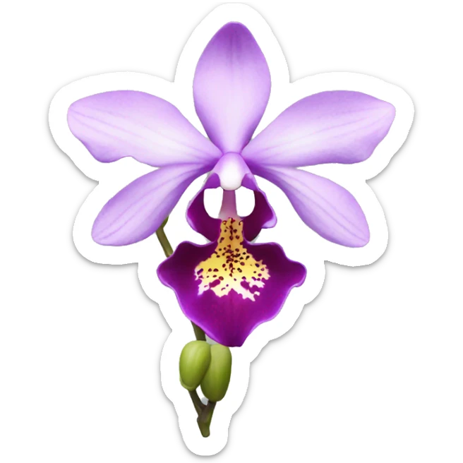 Orchid  sticker