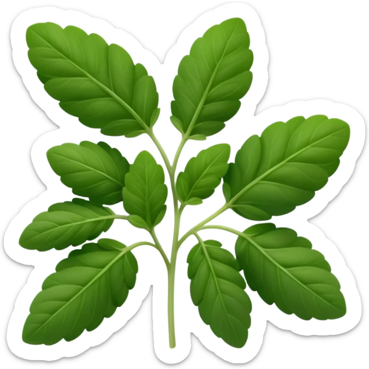 small sprig of fresh oregano with oval slightly fuzzy green leaves on thin tender stems, leaves clustered and layered with subtle natural curves and soft midrib veins, color ranges from vibrant to muted green, no pot scissors or extras, apple emoji style, soft lighting, subtle shadows, emoji scale sticker