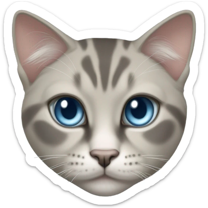 Thai breed cat with a warm cream body, dark gray face, ears, and paws. Short fur, sharp ears, and striking light blue eyes with an intense gaze. sticker