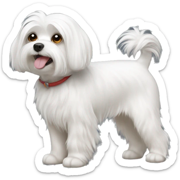 Maltese dog  sticker