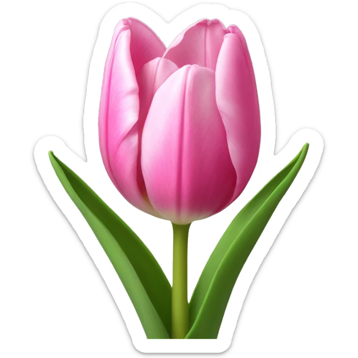 pink tulip sticker