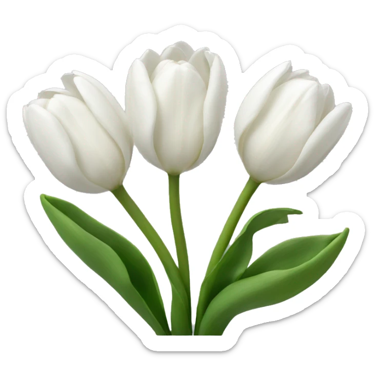 White tulips  sticker