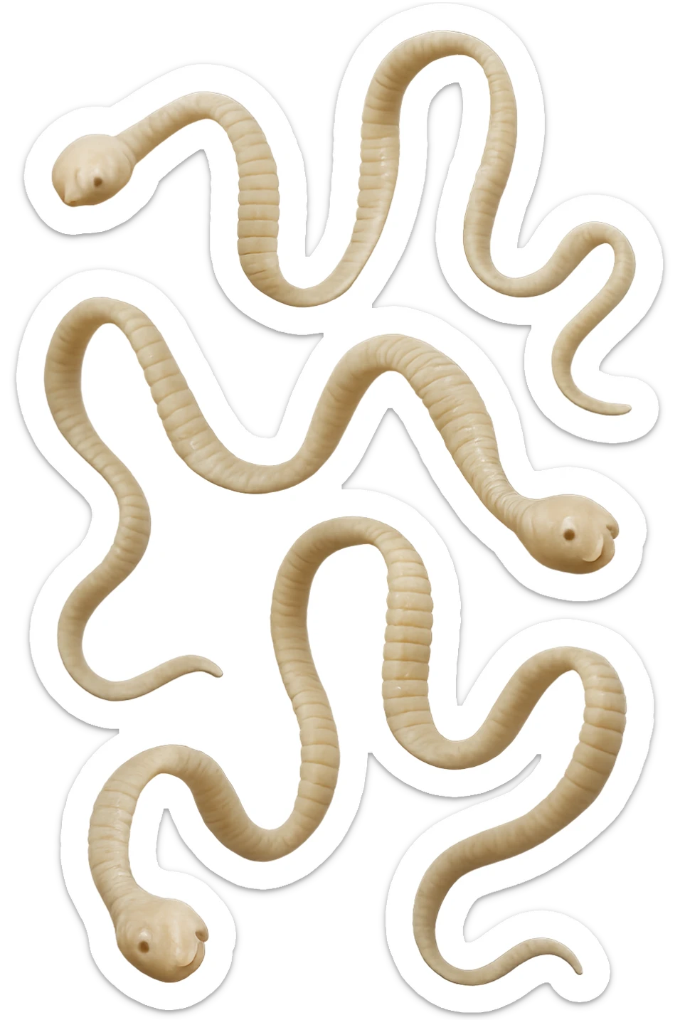 CINQUE PARASSITI COME LA TENIA FLUTTUANO IN ARIA, iperrealistico 4k sticker