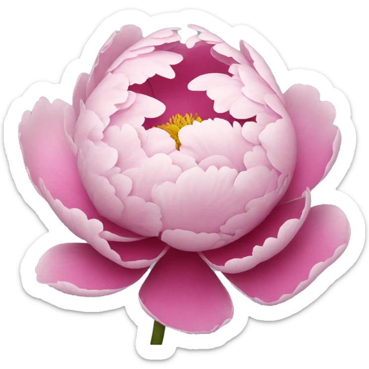 Peony sticker