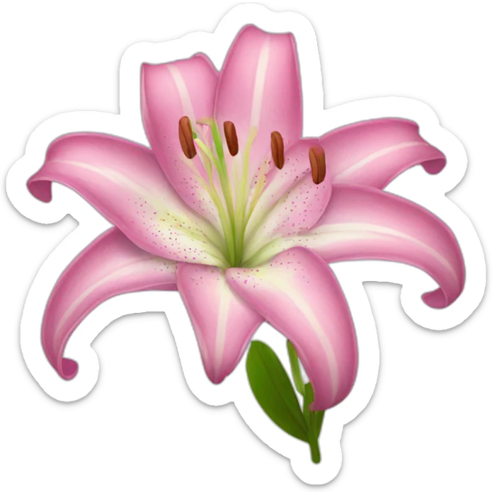 Pink lily sticker