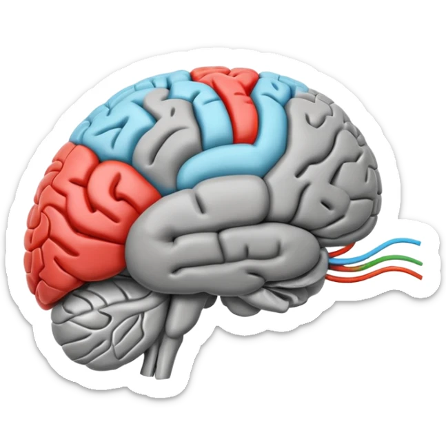 emoji icon of side view of an anatomically correct human brain with details of the brain structure and in detailed 3d rendring, colored to highlight different sections sticker