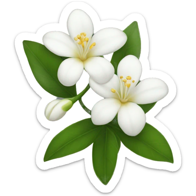 Jasmine flower sticker