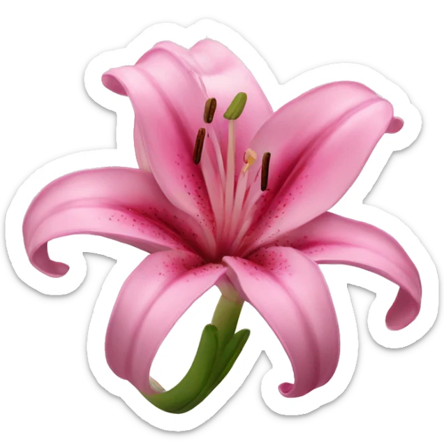 Pink lily sticker