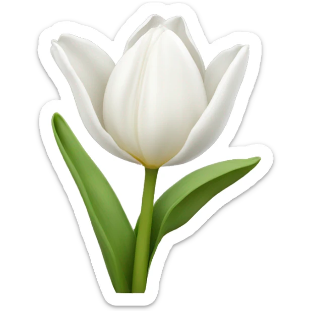White tulip sticker