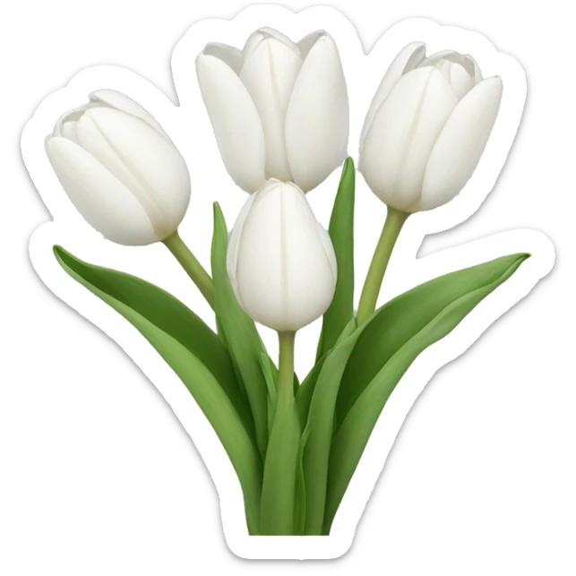 White tulips  sticker