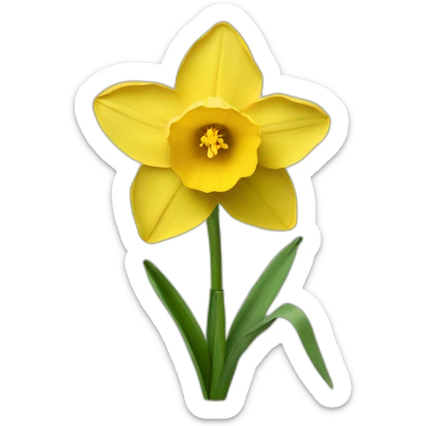 Daffodil sticker
