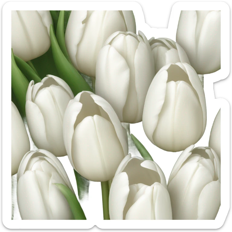 white tulip bouquet  sticker