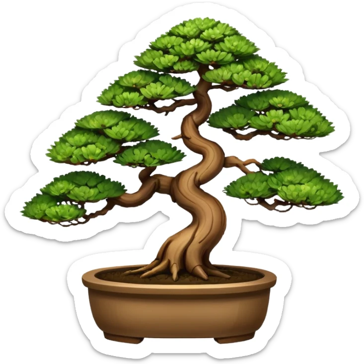 Bonsai plant of dawn redwoods trees 3 of them. In a bonsai pot  sticker