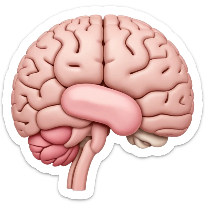 simple emoji-style illustration of the hypothalamus, small curved brain region beneath the thalamus, soft color palette, minimal details sticker