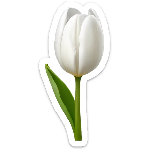 white tulip sticker