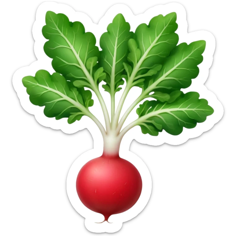 the actual radish compared to the leaves needs to be smaller, radish UK plant with a bit of white on the bottom of the radish sticker