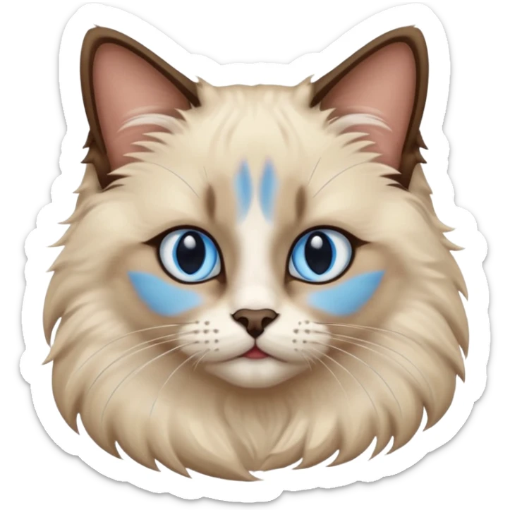 Ragdoll cat, with dark nose/center face area with surrounding beige fur, bright blue eyes sticker