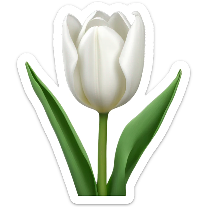 white tulips sticker
