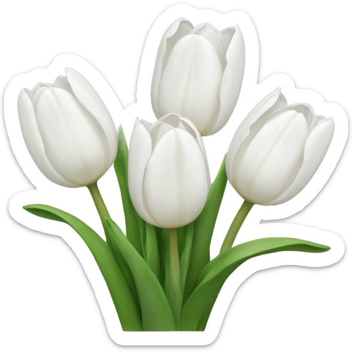 white tulips sticker