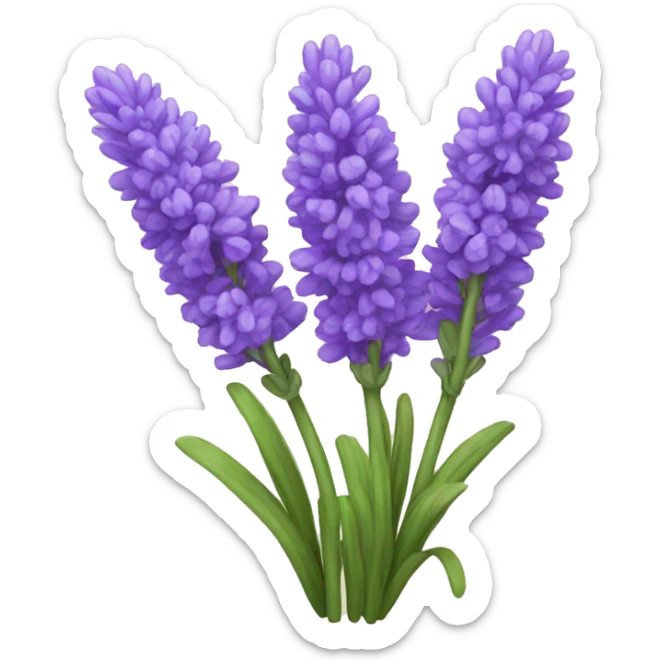 Lavender  sticker