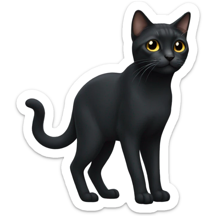 Black çat sticker