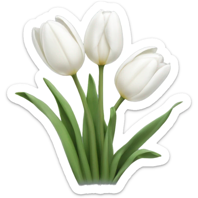 White tulips sticker
