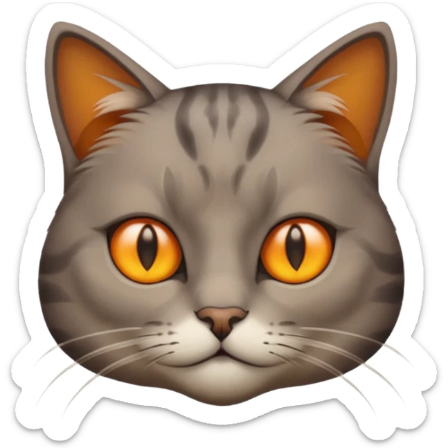 A Cat her race is persante he hair is grew and brown with they eyes orange and Yellow and sticker