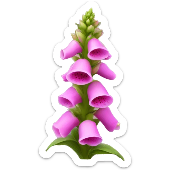 Foxglove sticker