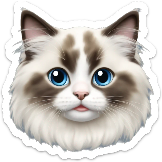 Ragdoll kitten sticker