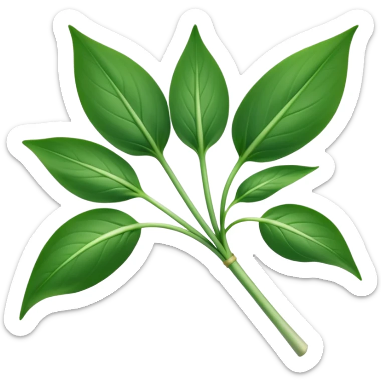 single sprig or small cluster of wild garlic leaves with smooth, elongated, lance-shaped blades, rich vibrant green color, soft central veins, fresh slightly glossy surface, gently arching from slender stems, no roots, no soil, no extras, apple emoji style, soft lighting, subtle shadows, emoji scale sticker
