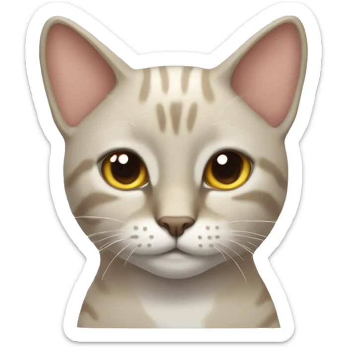 Gato sticker