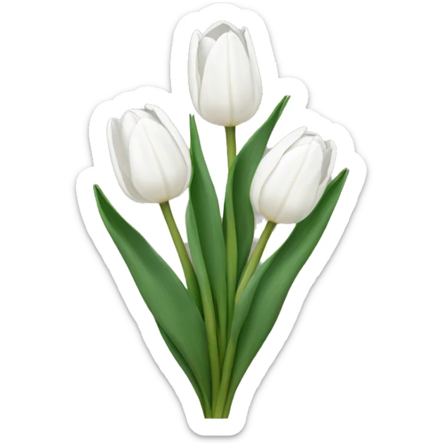 White tulips sticker