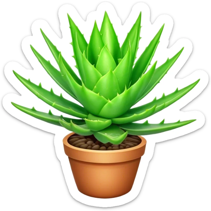 Cinematic Realistic Aloe Vera Emoji, Plump and succulent, with thick, fleshy leaves arranged in a star-like rosette. The vibrant green leaves have a slightly spiky texture, exuding a sense of resilience and healing. Soft glowing outline, capturing the essence of natural wellness and desert vitality in a flourishing aloe vera plant! sticker