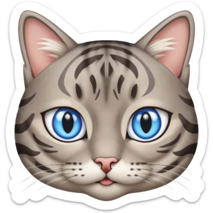 Un gato atigrado gris ojos azules ralla entre los ojos en forma de M y dos rallas en el exterior de los ojos sticker