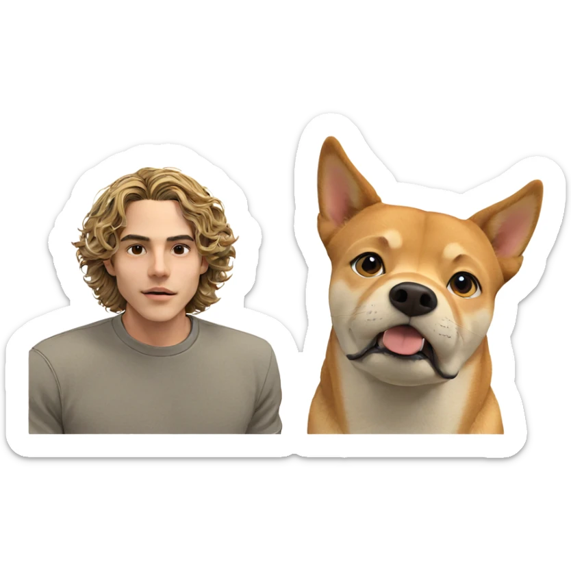 boy with shiba inu sticker