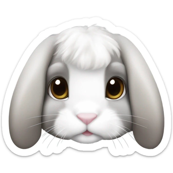 A holland lop bunny with a sable point coloring. White and gray. And spikey hair sticker