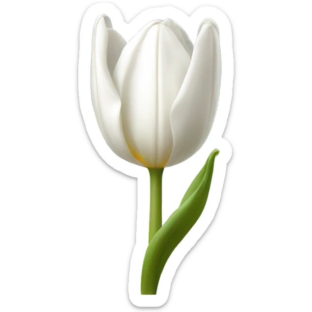 White tulip sticker