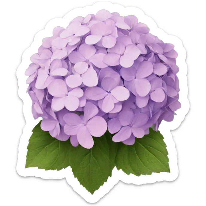 hydrangea sticker